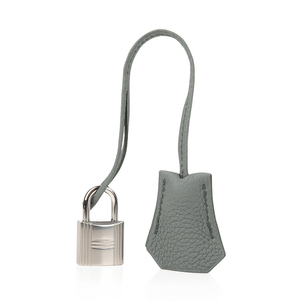 Birkin 25 Bag Vert Amande Togo Palladium Hardware