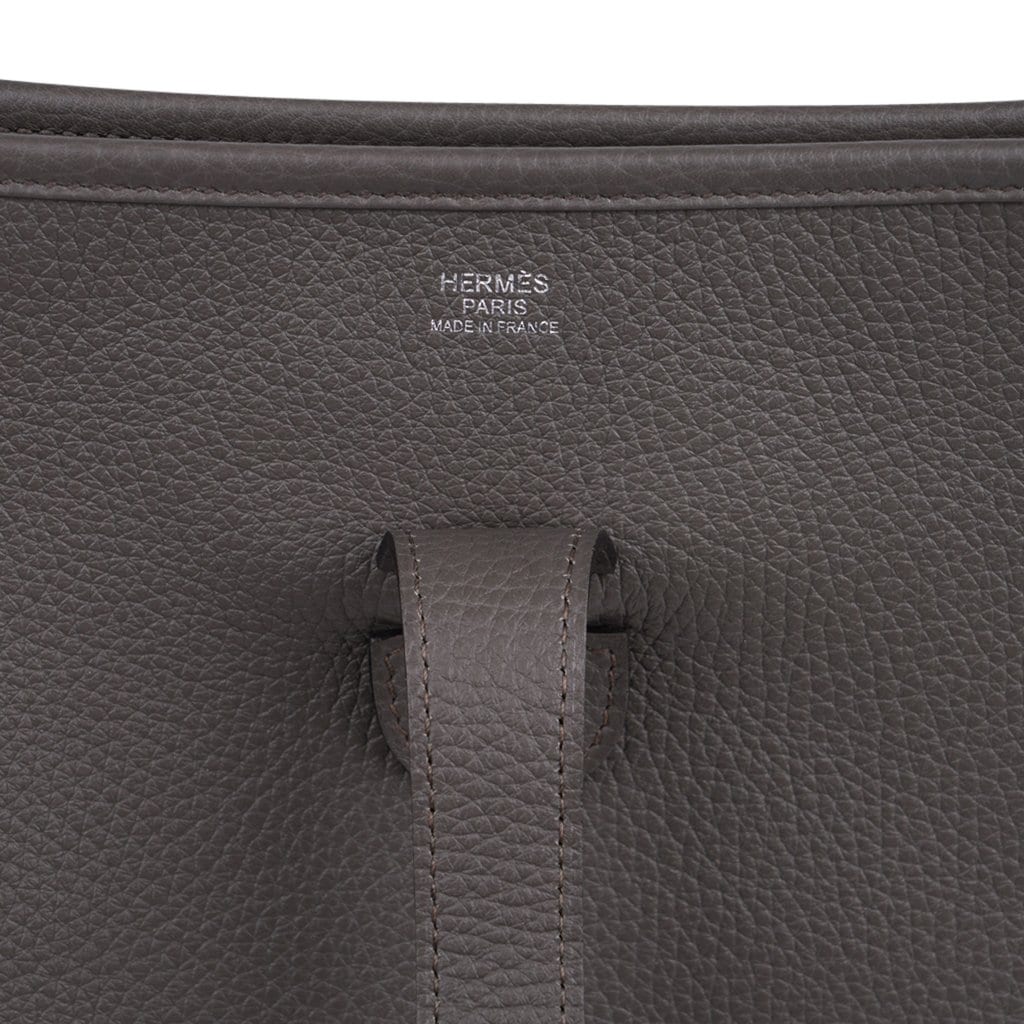 Bag Evelyne GM Etain Clemence Palladium Hardware New w/ Box