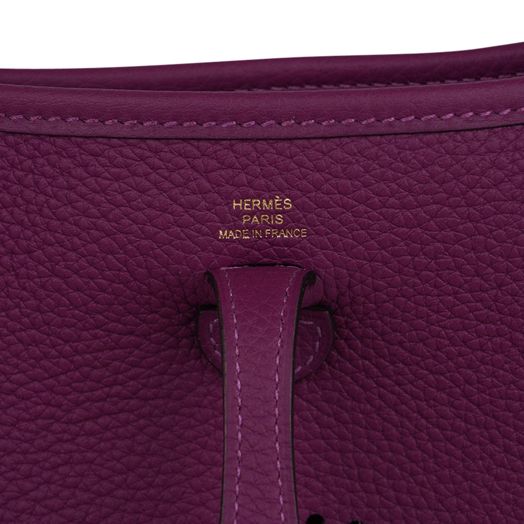 Mini Evelyne III TPM Bag Anemone Maurice Leather with Gold Hardware