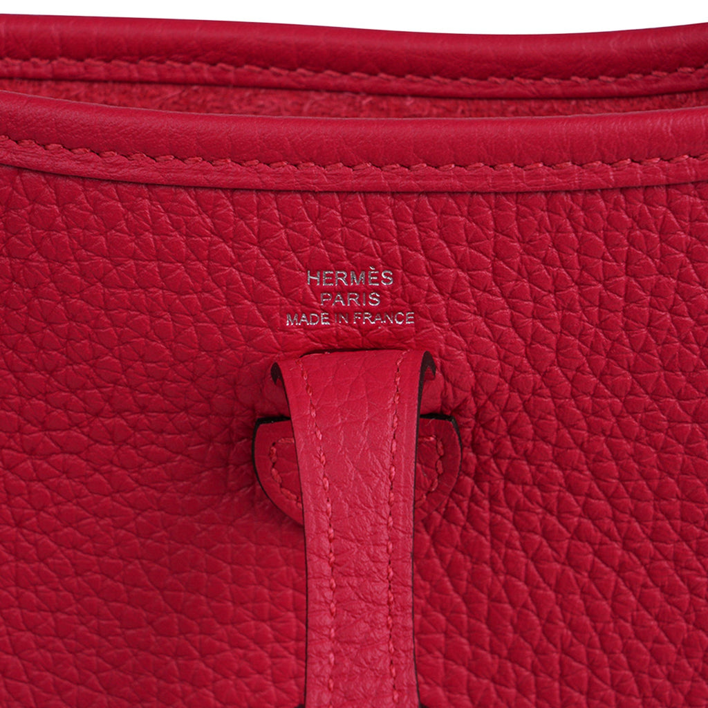 Mini Evelyne III TPM Bag Framboise Flipperball Strap with Palladium Hardware