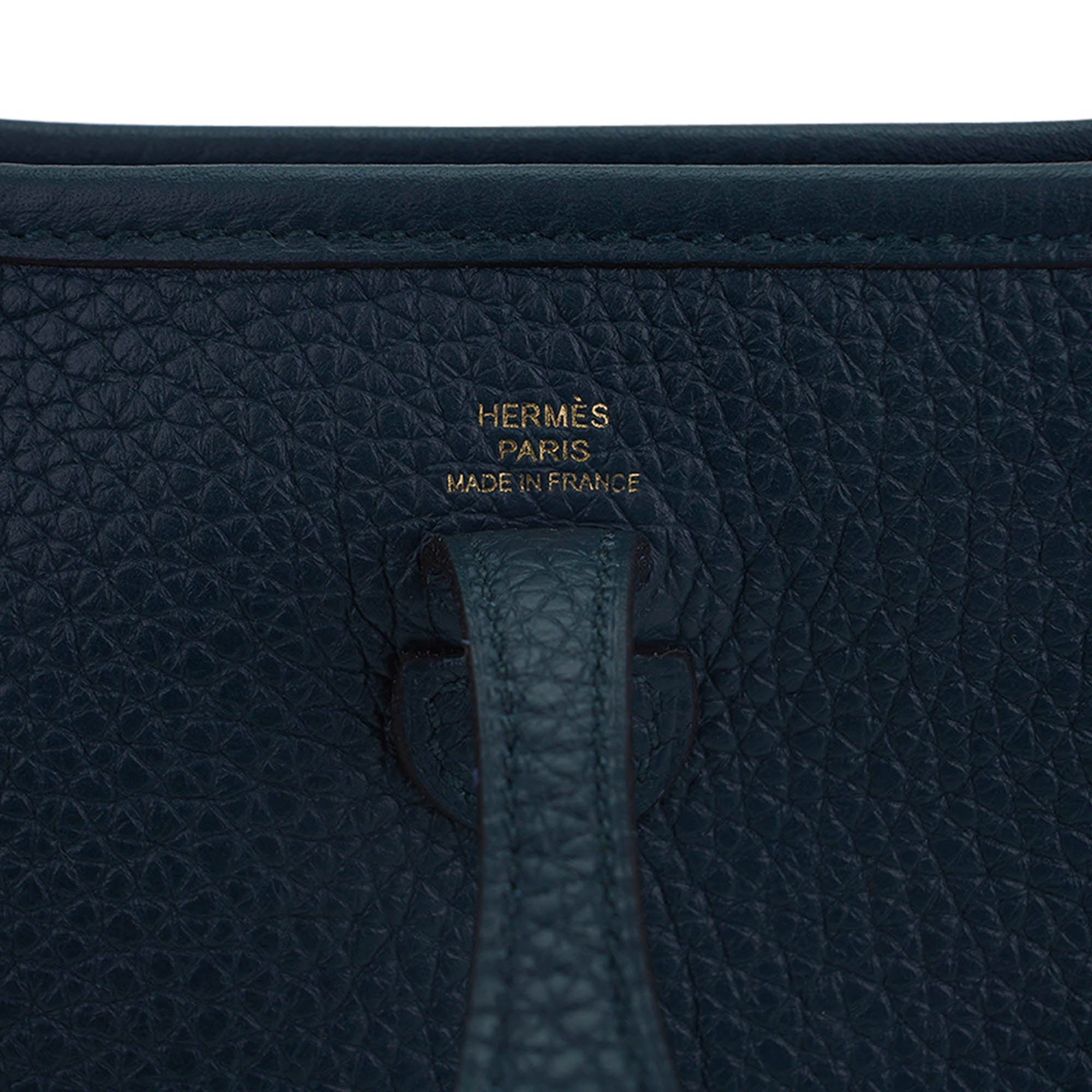 Mini Evelyne III TPM Crossbody Bag Vert Rousseau Clemence with Gold