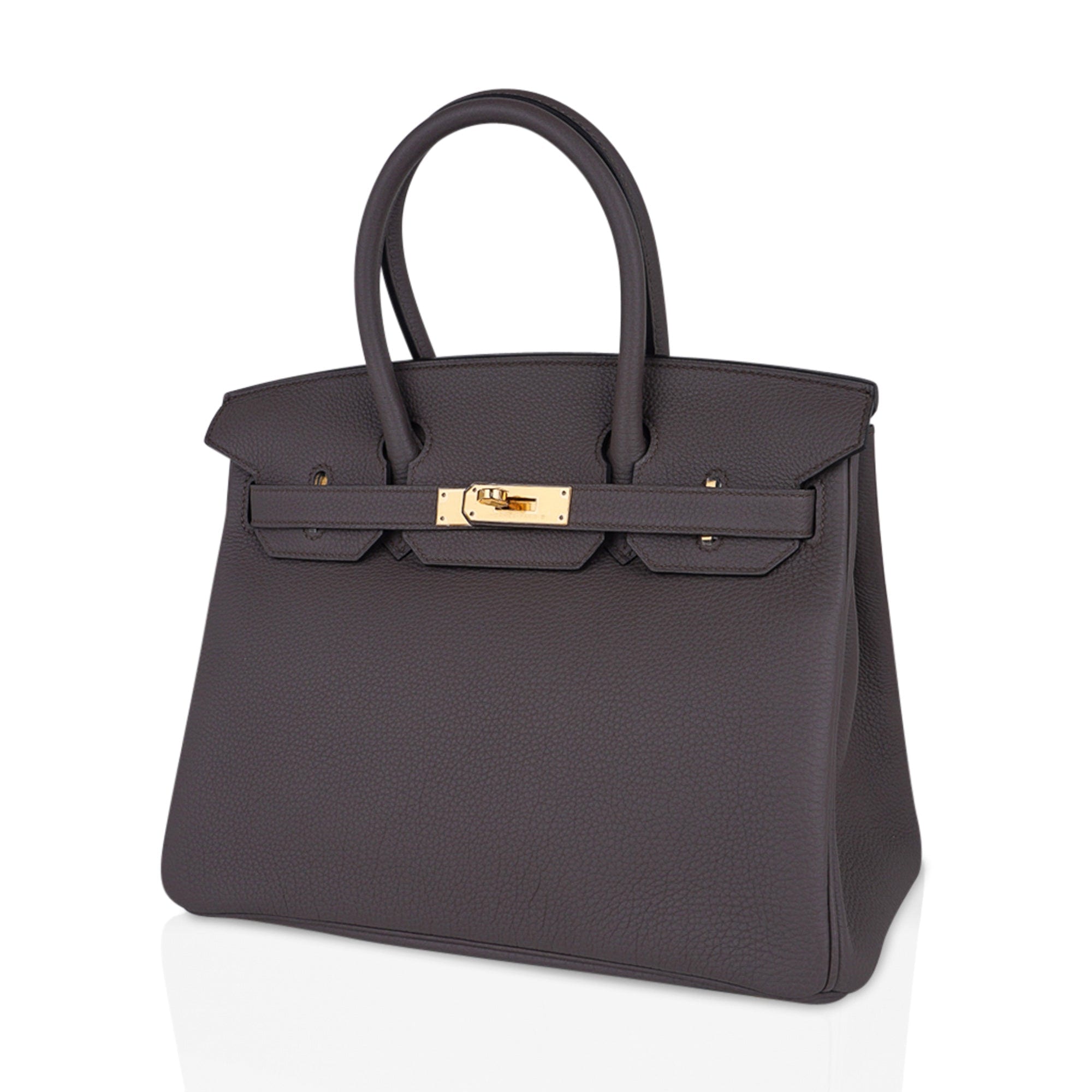 Birkin 30 Bag Etain Gray Coveted Gold Hardware Togo
