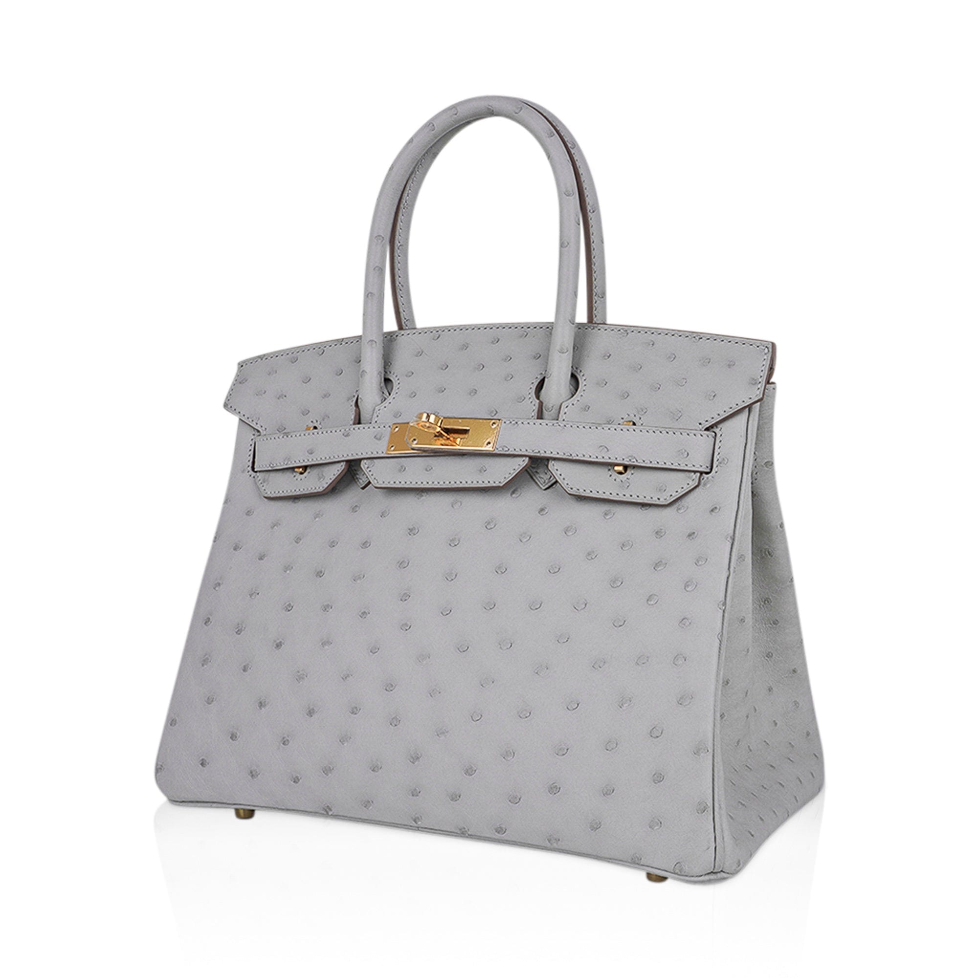 Birkin 30 Bag Gris Perle Ostrich with Gold Hardware