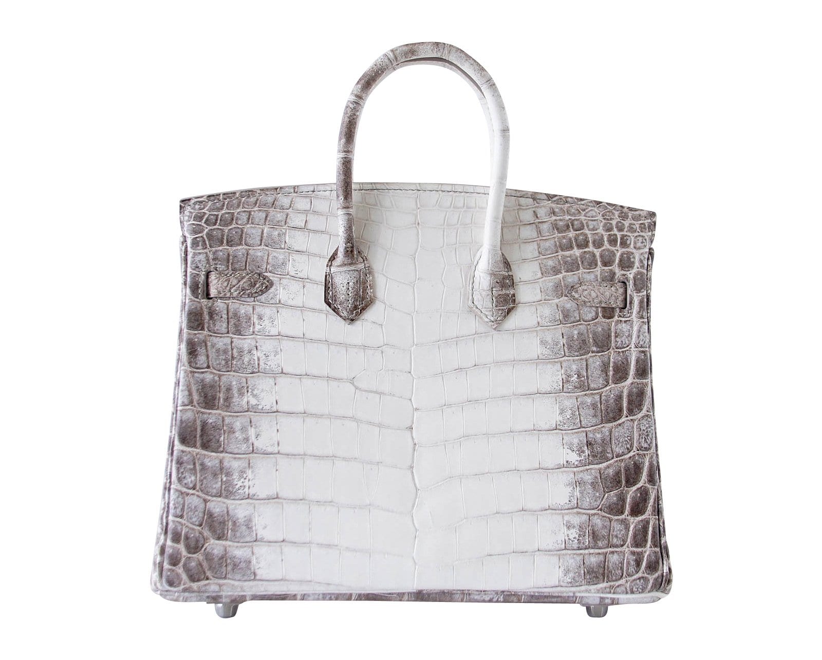 Birkin 25 Bag Blanc Himalaya Exquisite Jewel Palladium Hardware