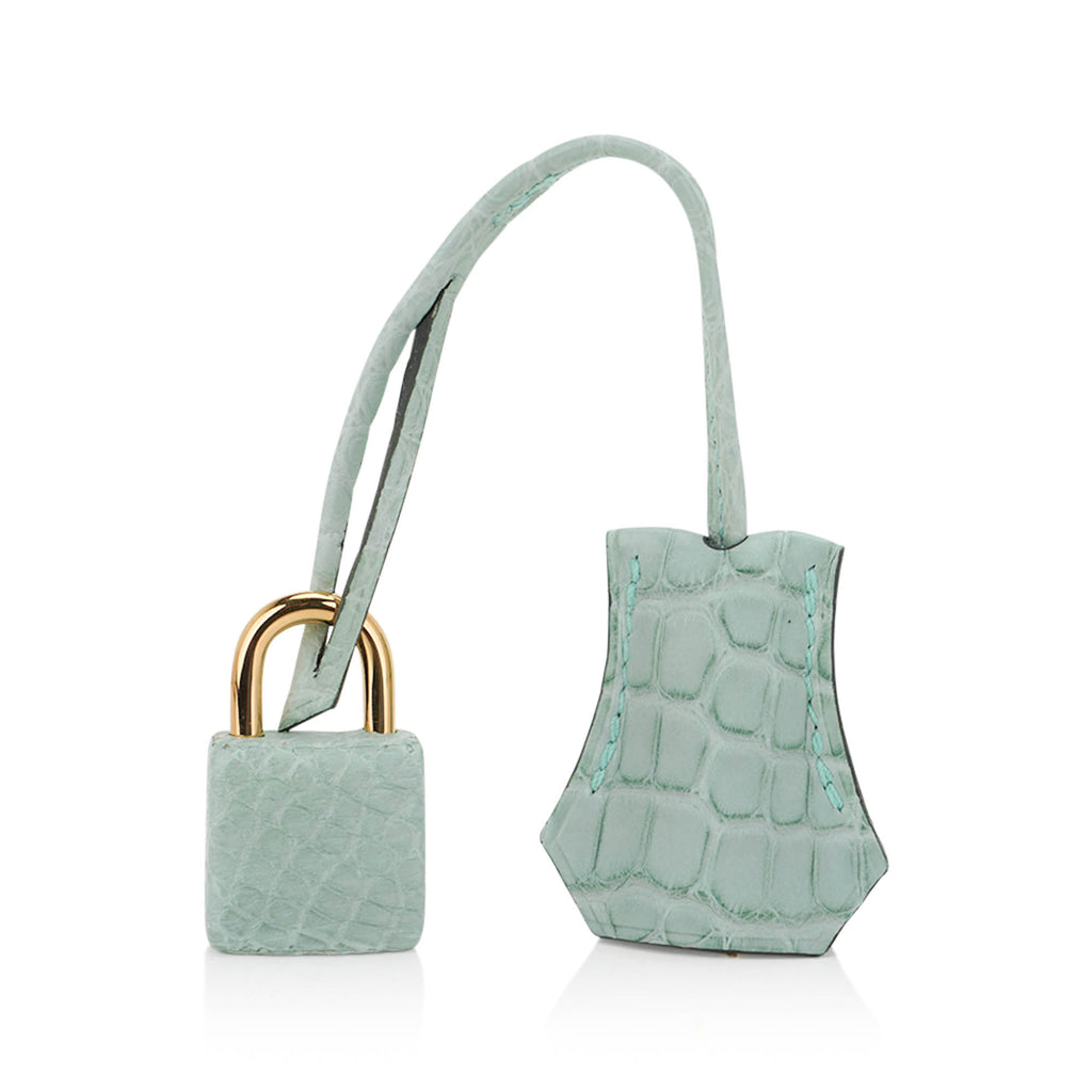 Limited Edition Birkin 20 Sellier Bag Vert D’Eau Matte Alligator with Gold Hardware