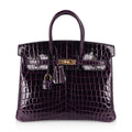 Birkin 25 Bag Aubergine Niloticus Crocodile with Gold Hardware