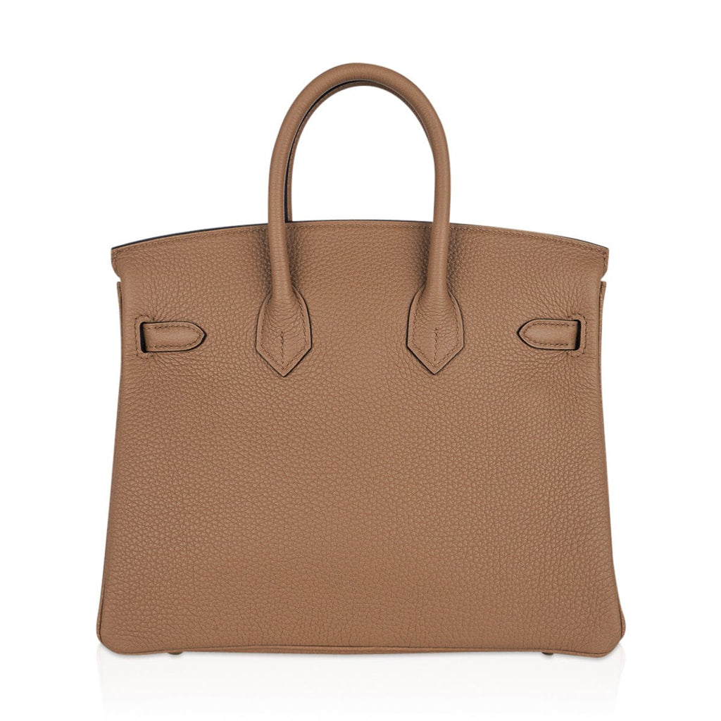 Birkin 25 Bag in Chai Togo Leather with Gold Hardware