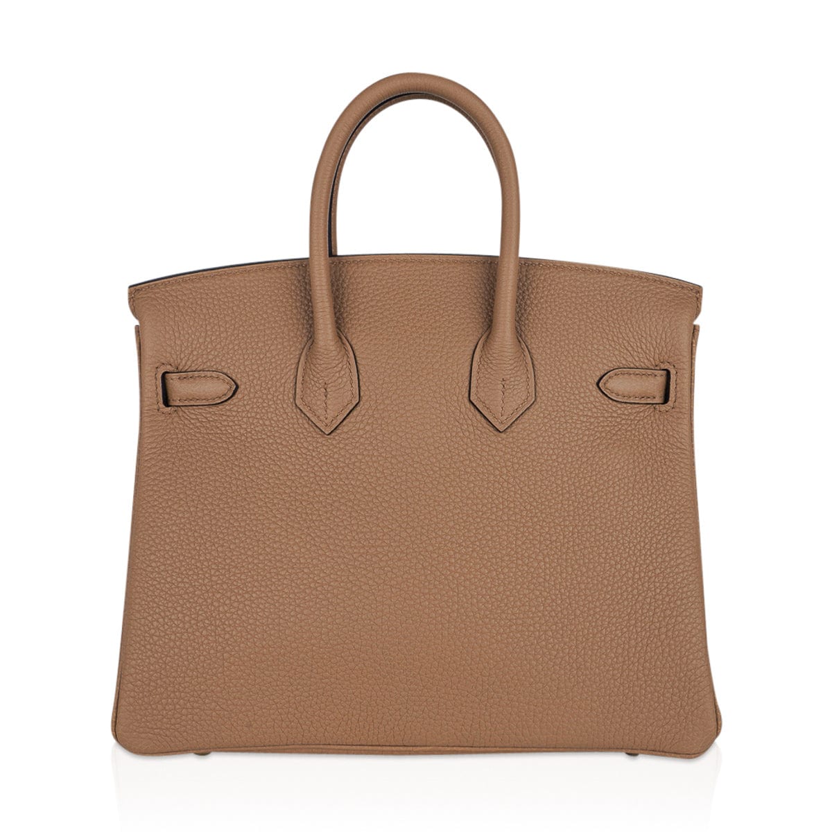 Birkin 25 Bag in Chai Togo Leather with Gold Hardware