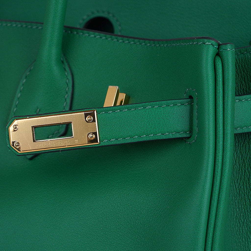 Birkin 25 Bag in Cactus Swift Leather with Gold Hardware