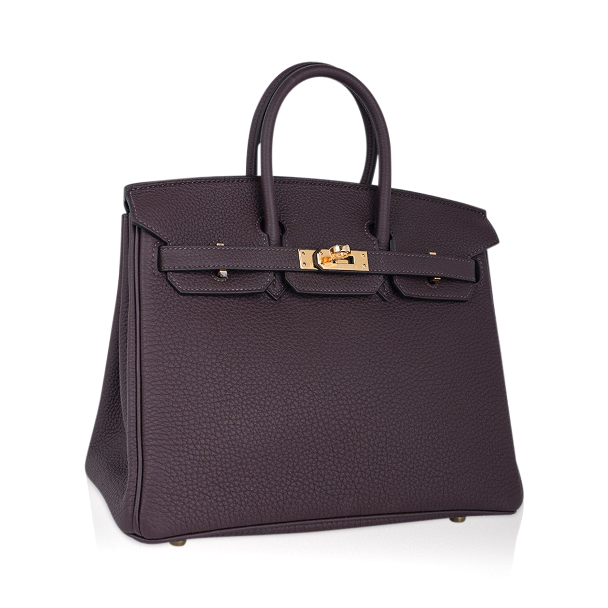 Birkin 25 Bag Chocolat Gold Hardware Togo Leather