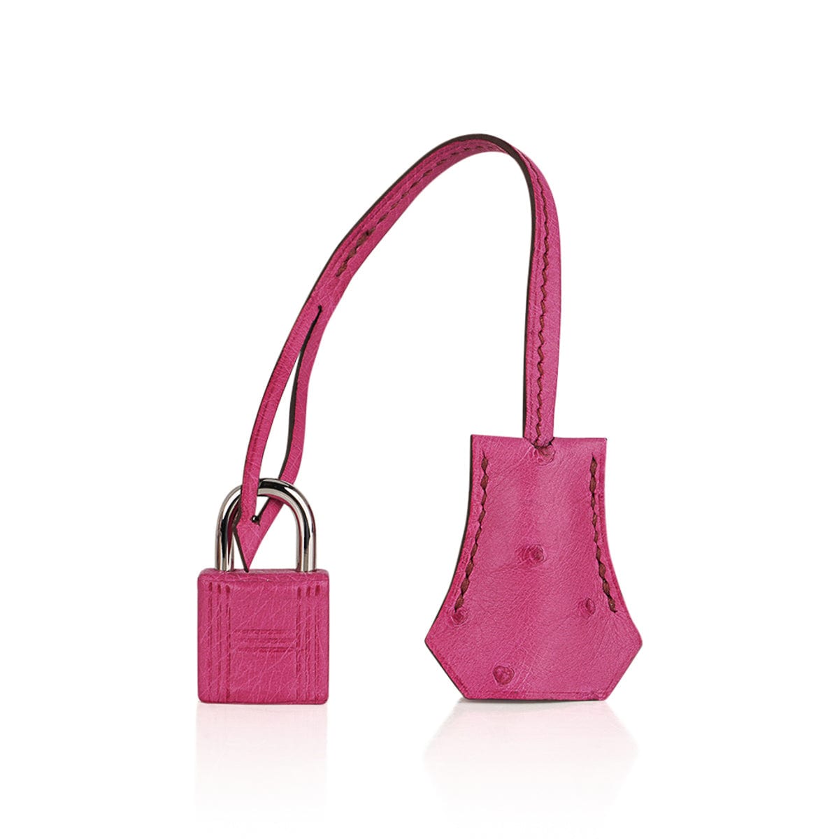 Birkin 25 Bag Fuchsia Ostrich with Palladium Hardware