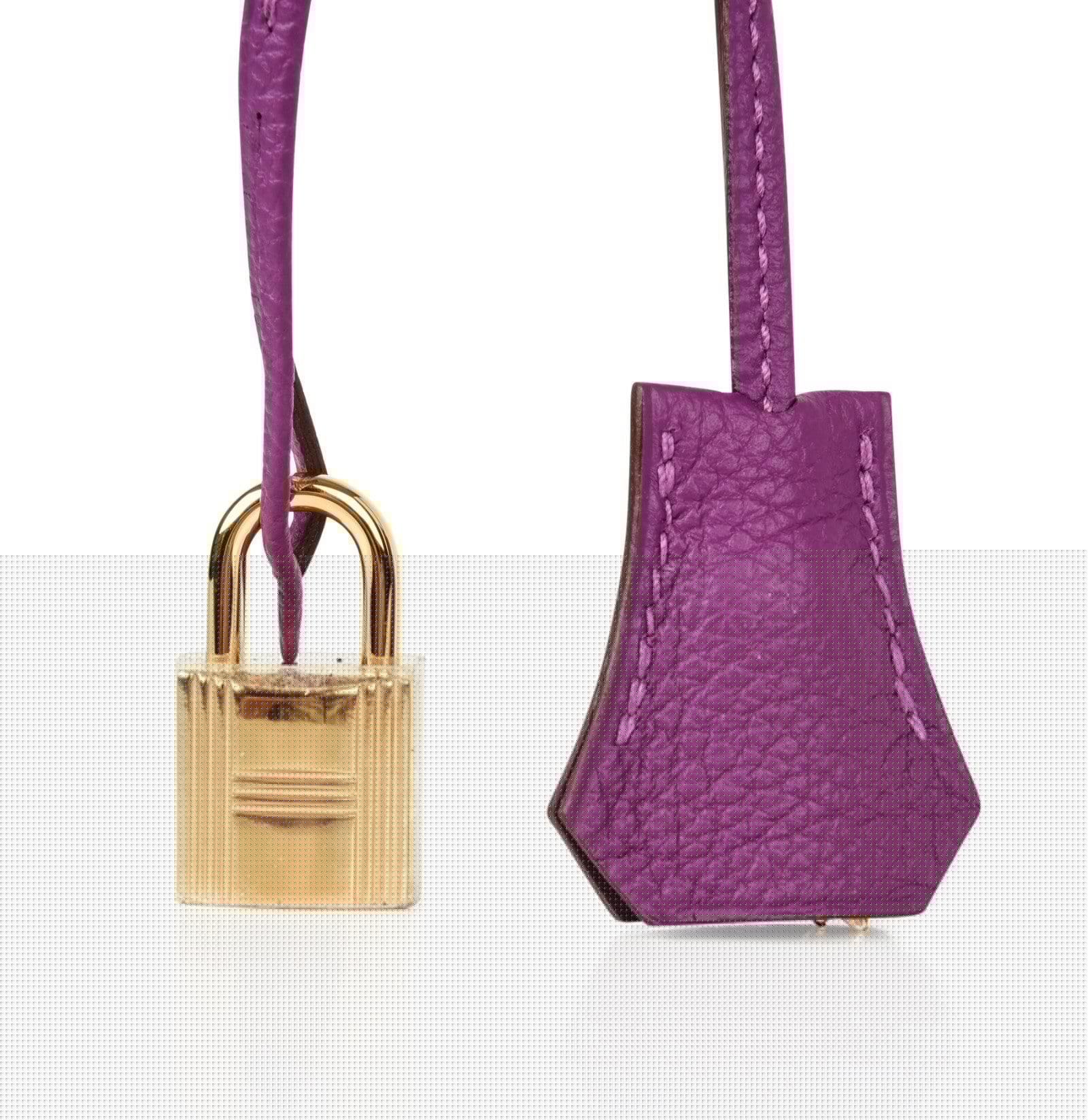 Birkin 30 Bag Anemone Togo Gold Hardware Exotic Purple Beauty