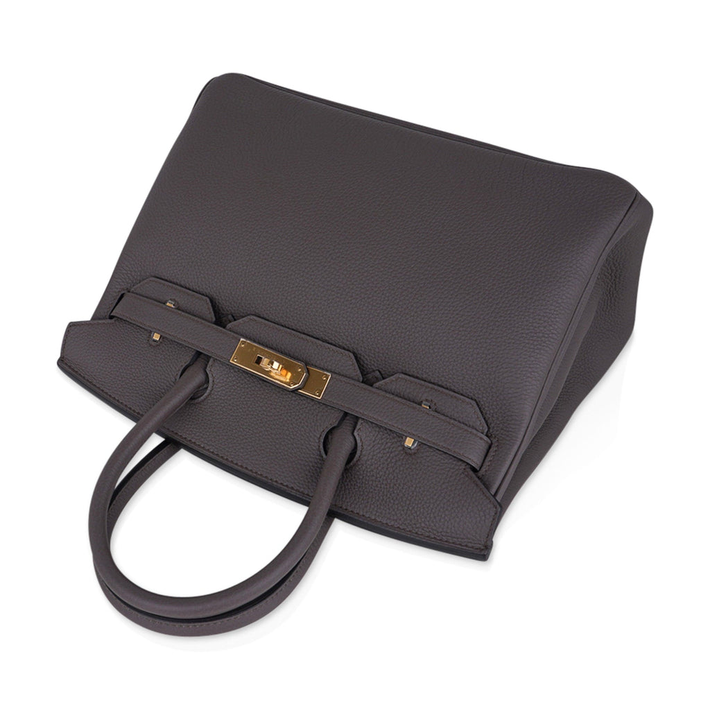 Birkin 30 Bag Etain Gray Coveted Gold Hardware Togo