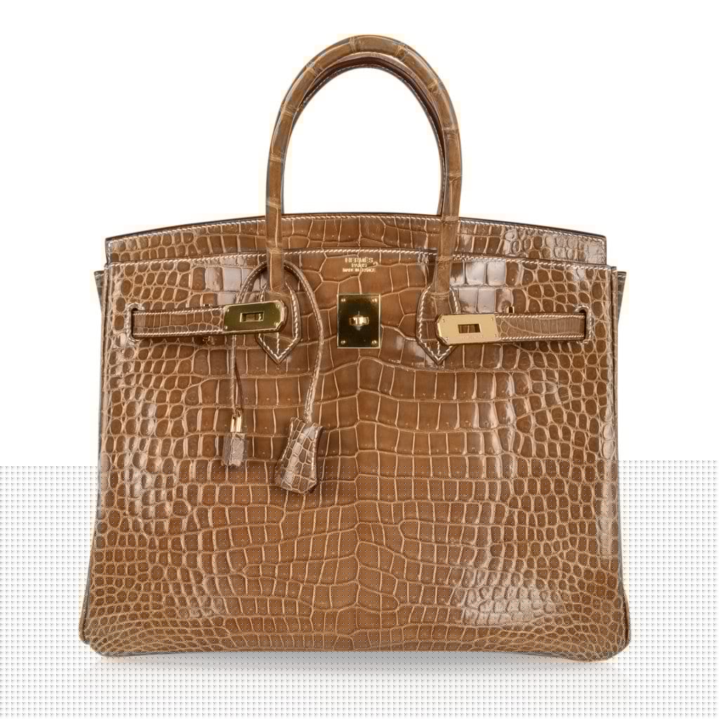 Birkin 35 Bag Ficelle Porosus Crocodile Gold Hardware