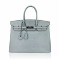 Limited Edition Birkin 35 Bag Ciel Matte Alligator with Palladium Hardware