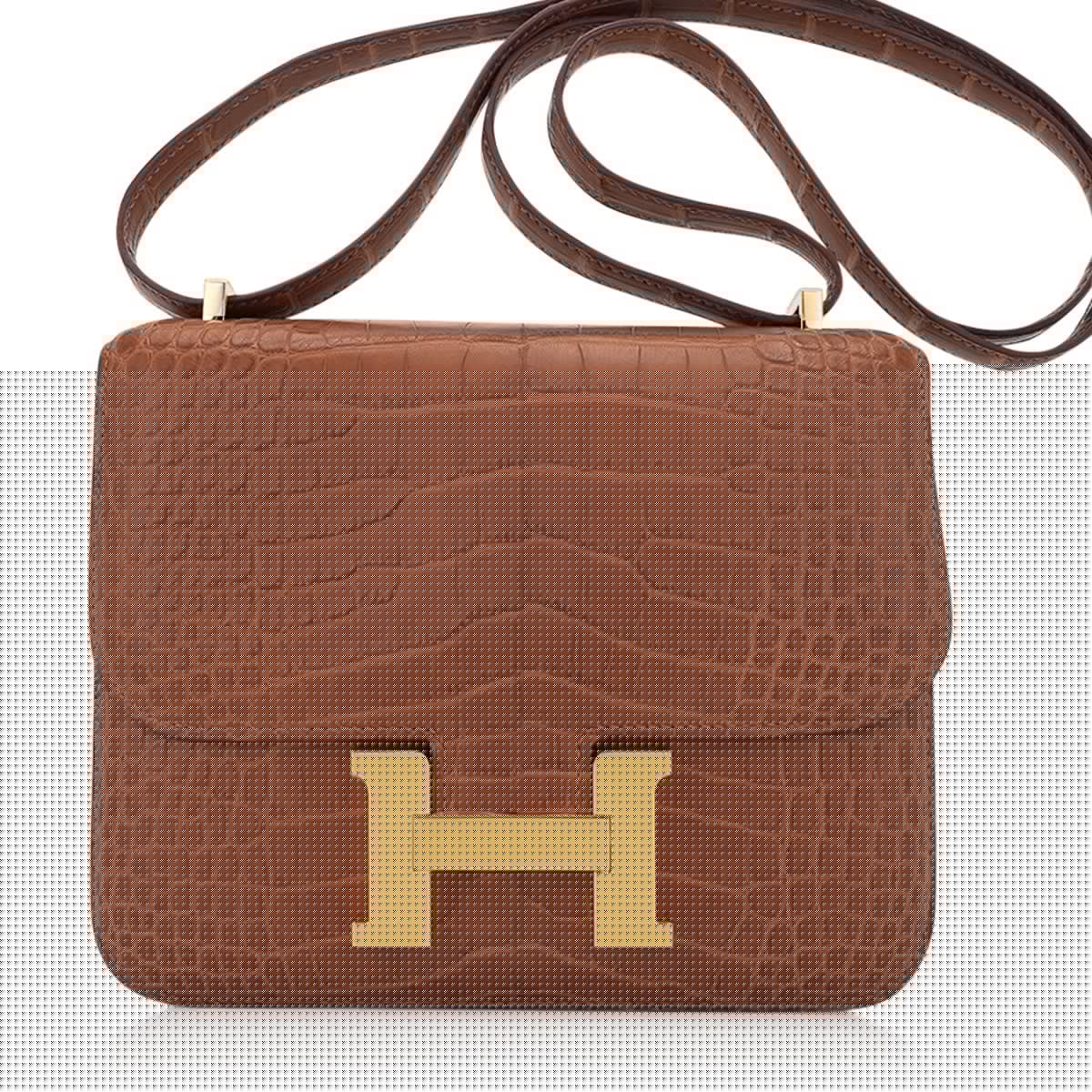 Mini Constance 18 Mirror Bag Gold Matte Alligator with Gold Hardware
