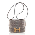 Constance Bag 18 Ombre Lizard Gold Hardware New w/ Box