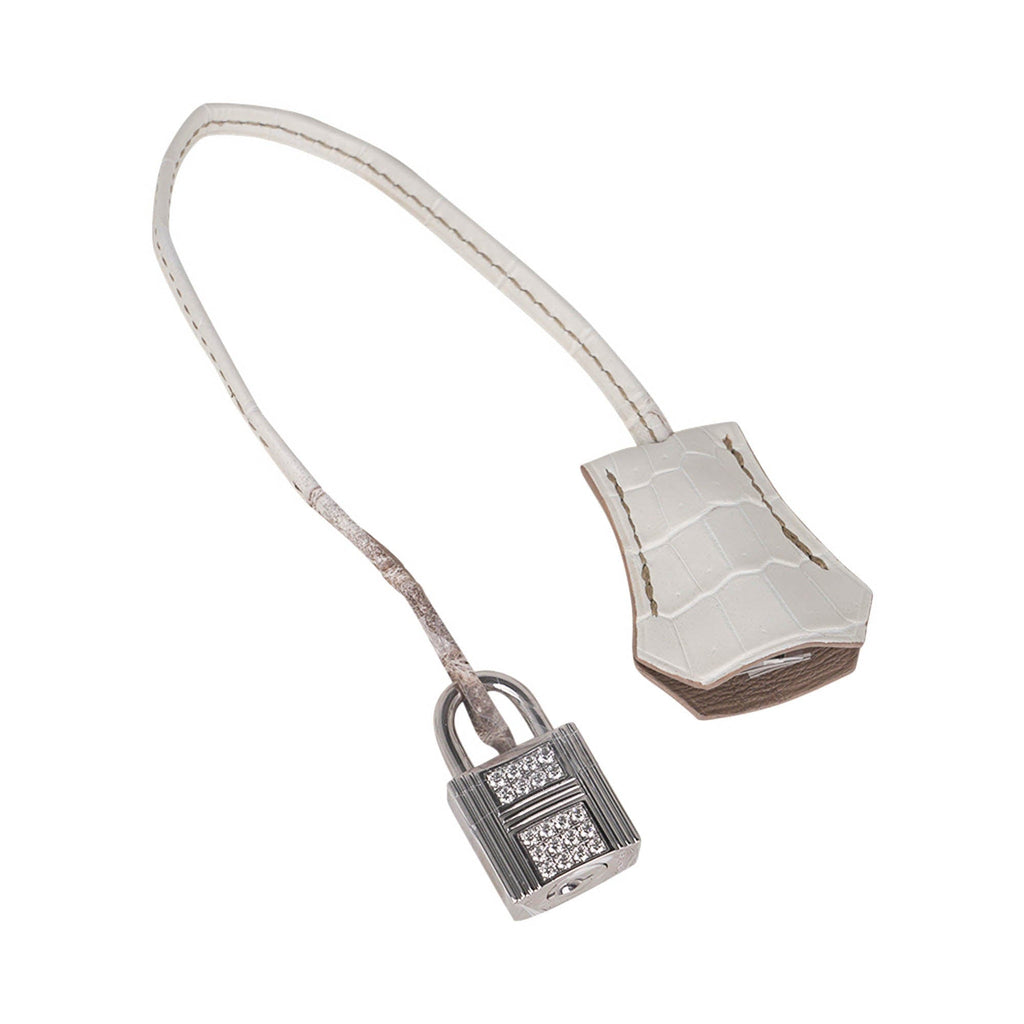 Birkin 30 Bag Diamond Himalaya Blanc Matte Niloticus Crocodile with 18k White Gold Hardware