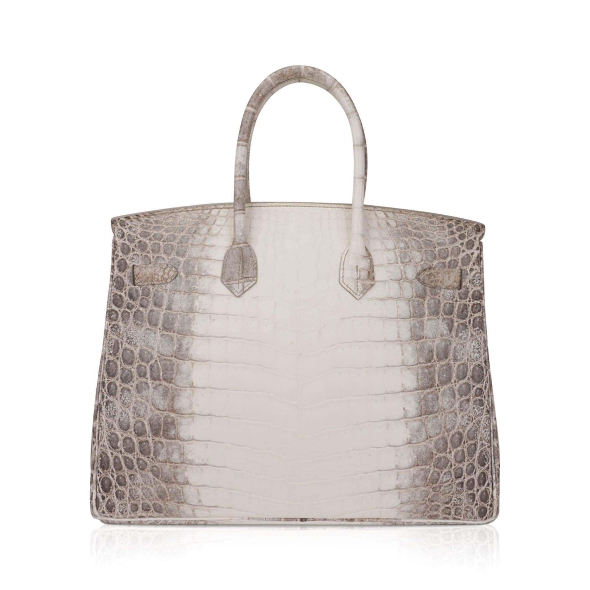 Birkin 35 Diamond Blanc Himalaya Matte Crocodile Limited Edition Bag