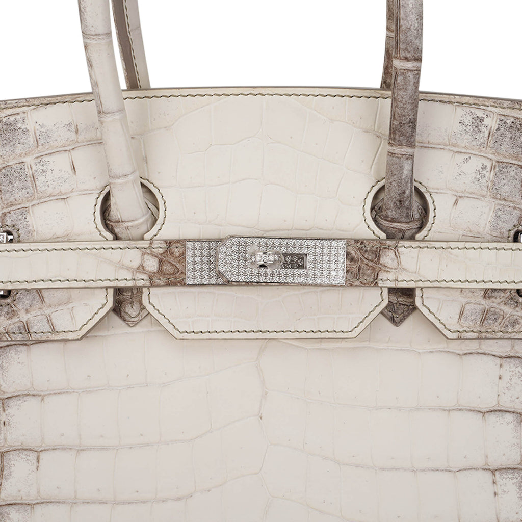 Birkin 35 Diamond Blanc Himalaya Matte Crocodile Limited Edition Bag