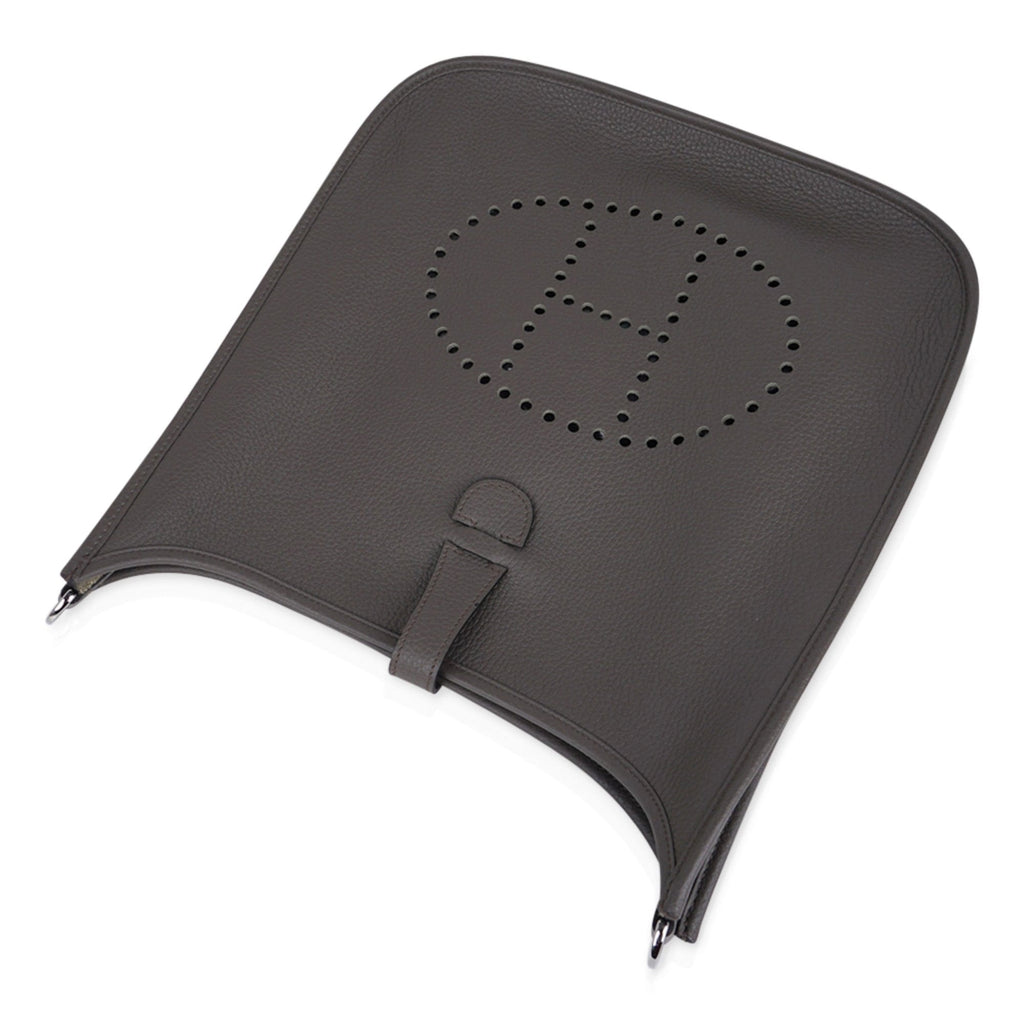 Bag Evelyne GM Etain Clemence Palladium Hardware New w/ Box