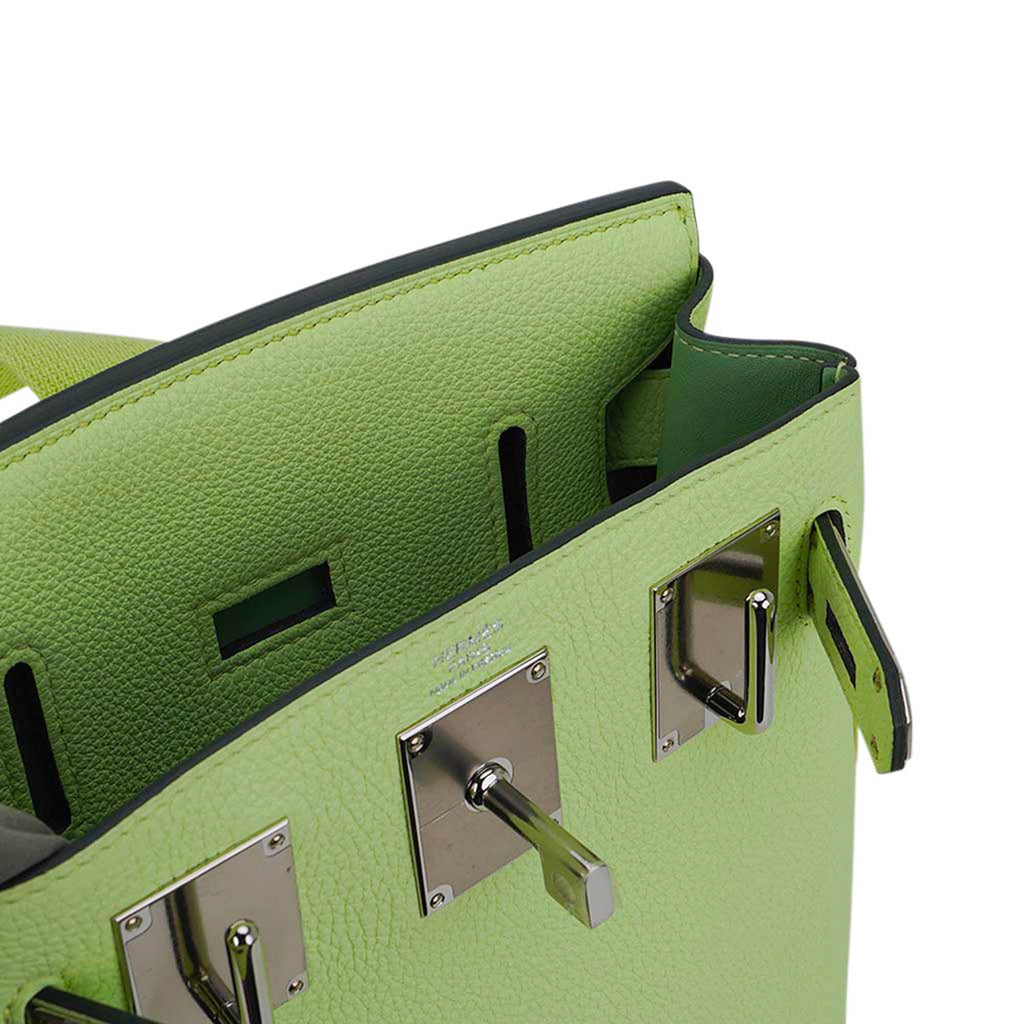 Hac a Dos PM Backpack Vert Absinthe Togo Leather with Palladium Hardware