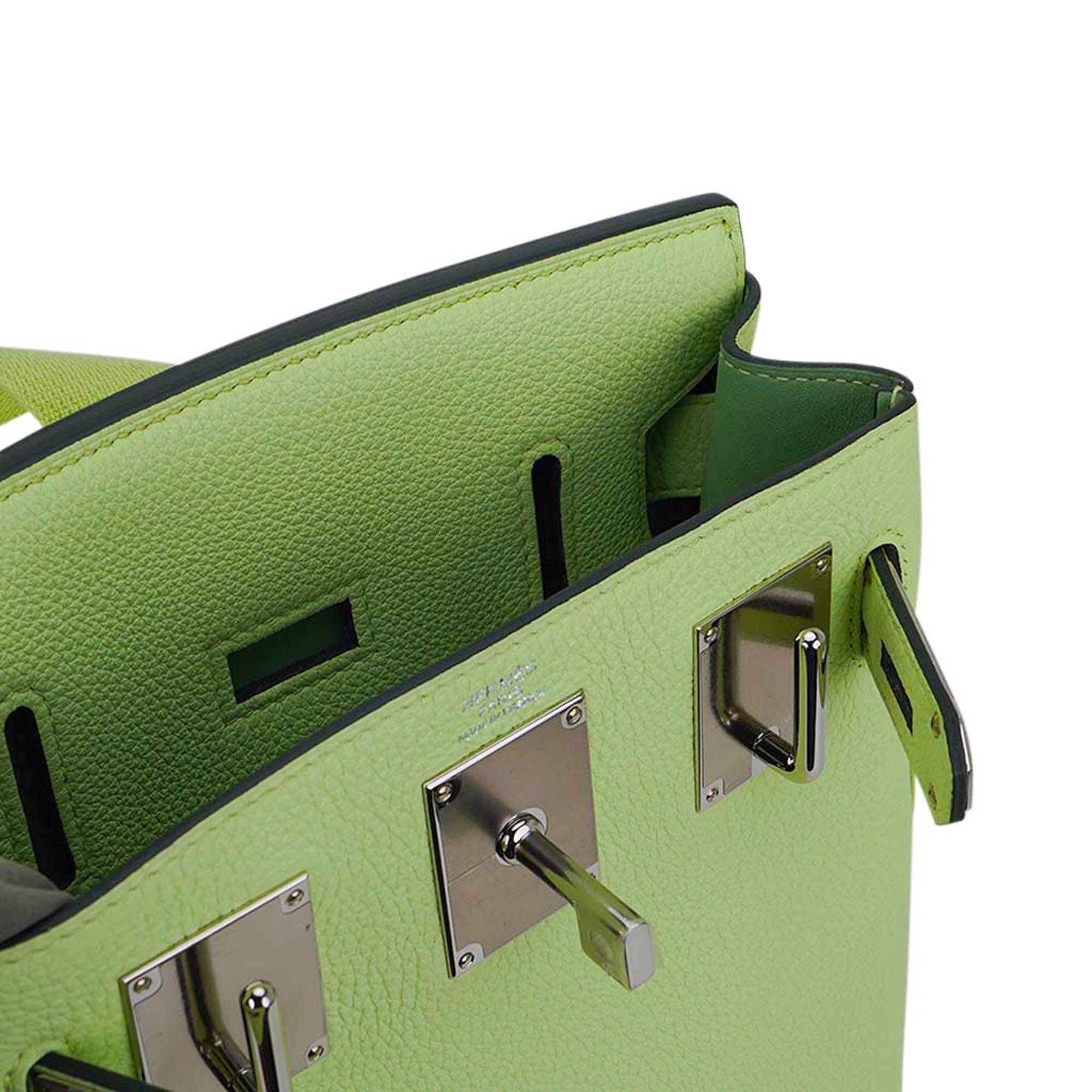 Hac a Dos PM Backpack Vert Absinthe Togo Leather with Palladium Hardware