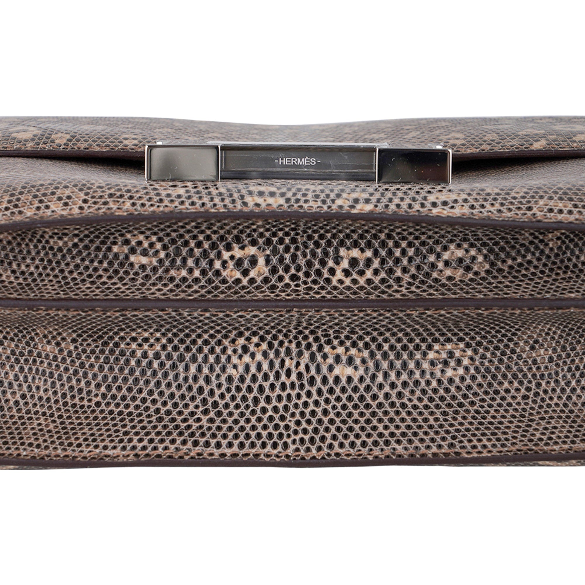 Limited Edition Mini Constance 18  Desert Lizard Palladium Hardware