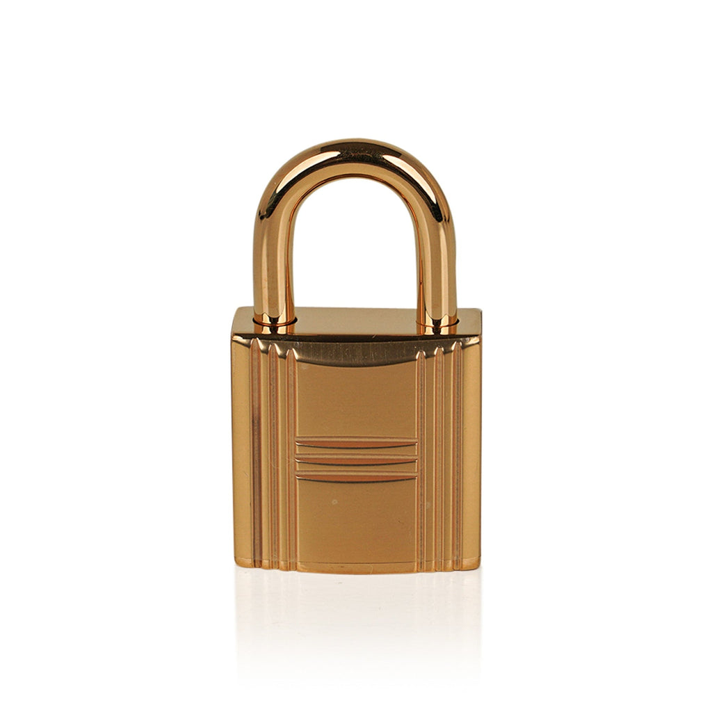 Picotin Lock 22 Bag MM Nata Clemence Gold Hardware