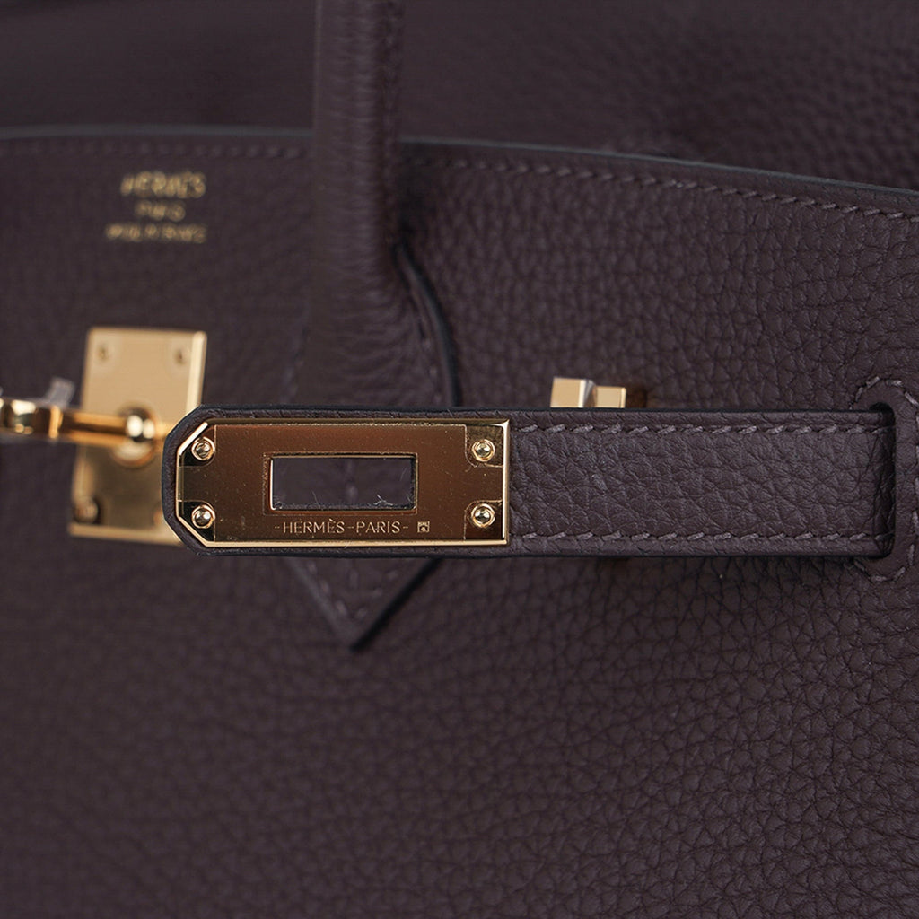Birkin 25 Bag Chocolat Gold Hardware Togo Leather