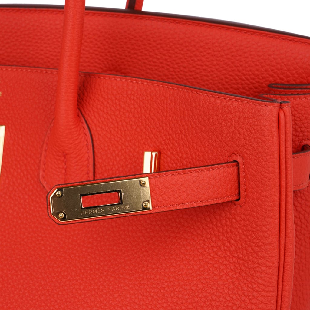 Birkin 35 Bag Capucine Togo Leather with Gold Hardware