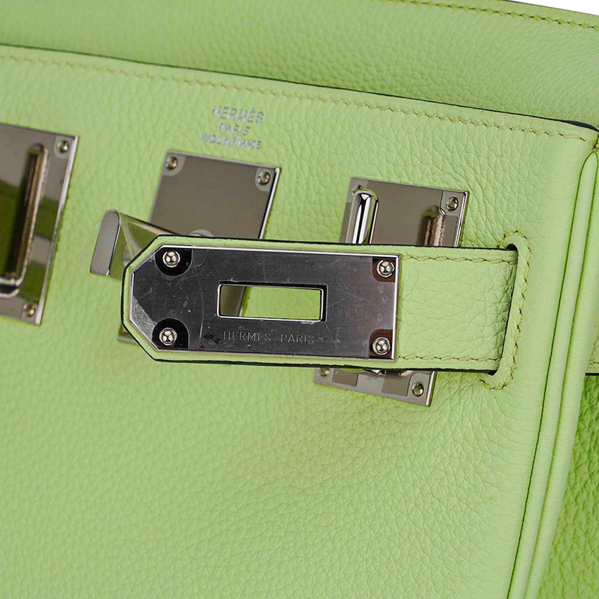 Hac a Dos PM Backpack Vert Absinthe Togo Leather with Palladium Hardware